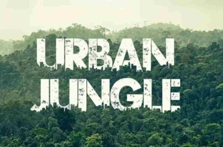 Urban Jungle Font