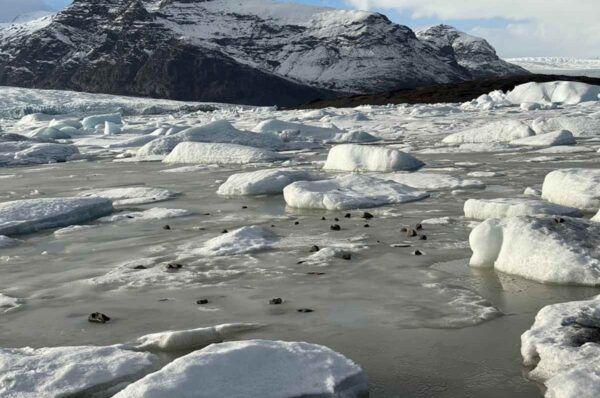 IcelandJournal com Review, Features, Content Strategy & SEO Analysis for India