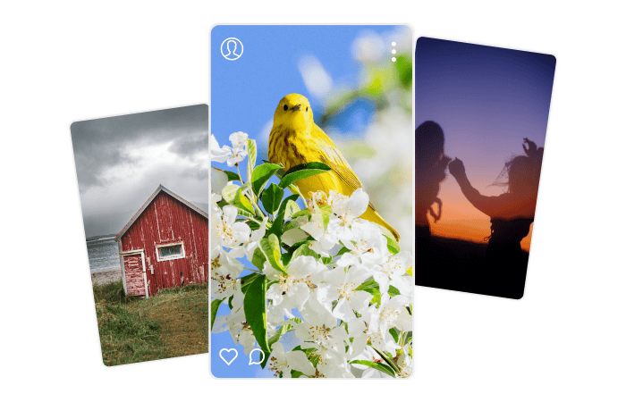 Pros and Cons of Instasupersave