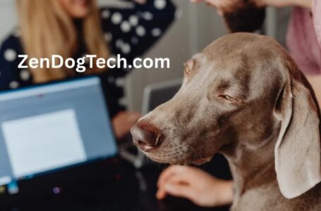 Zendogtech com